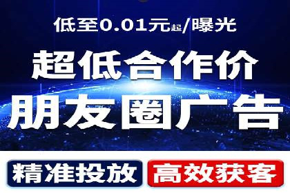 行业领先SEM托管代运营案例